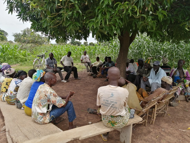 Gulma findma tantaanli bɔnluali